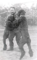 Problems of modern breeding