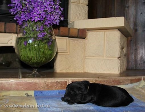 Первая неделя...