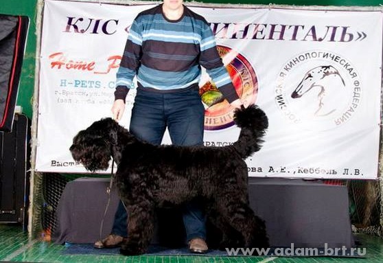 Adam Racy Style EGOR