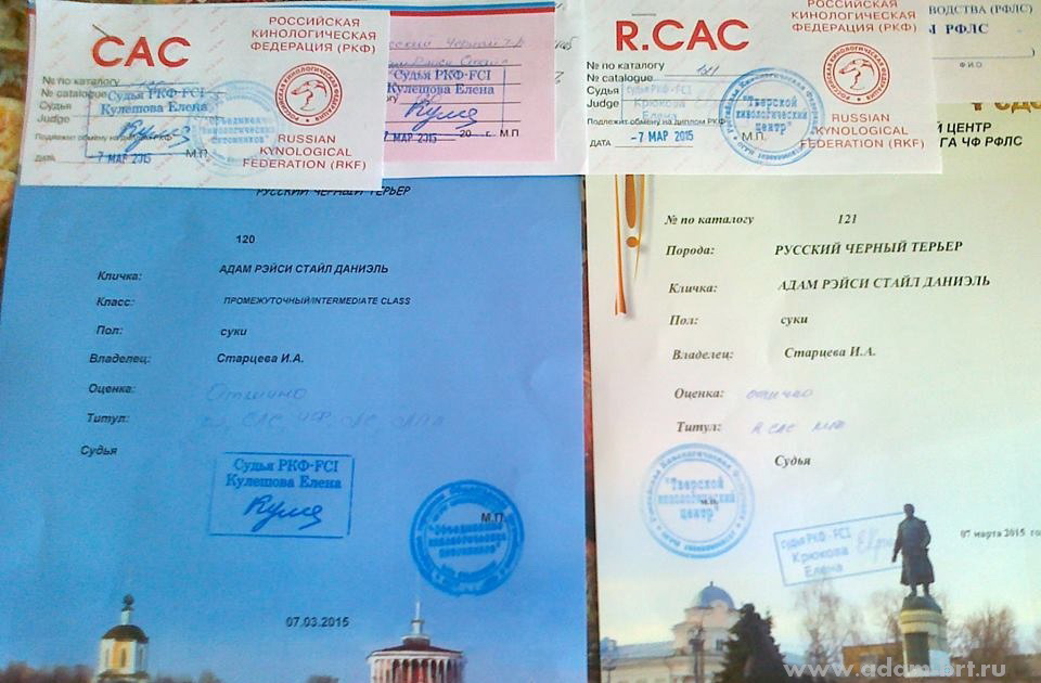 Adam Racy Style DANIEL