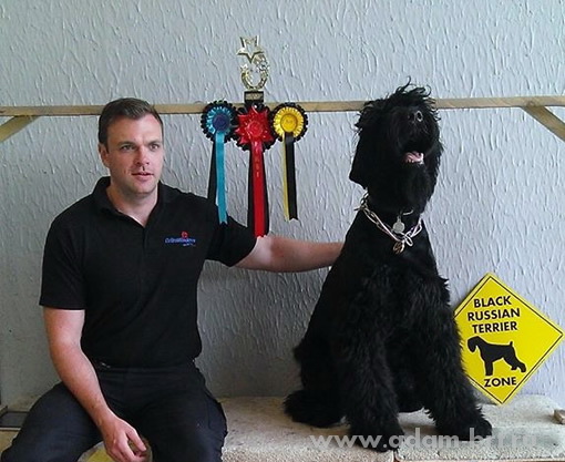 Адам Рэйси Стайл ДОБРОМИР