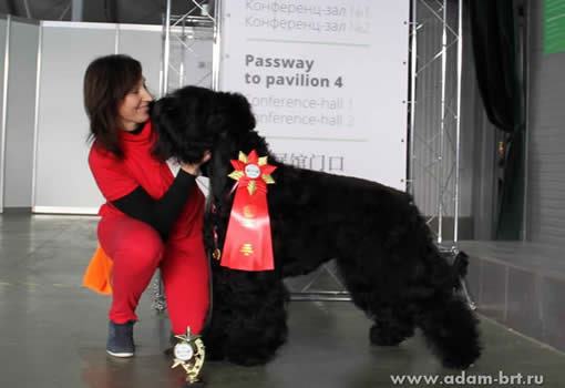 Адам Рэйси Стайл ДАНИЭЛЬ