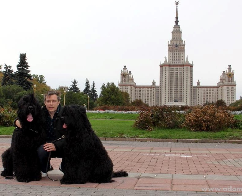 Adam Racy Style APOLLON