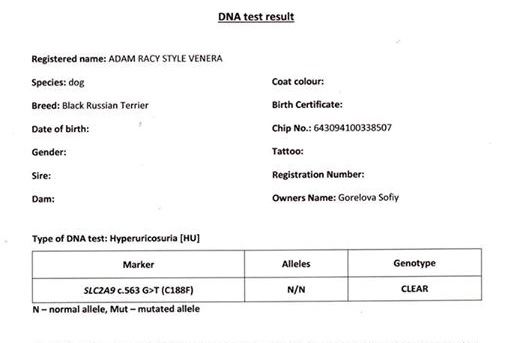 Adam Racy Style VENERA