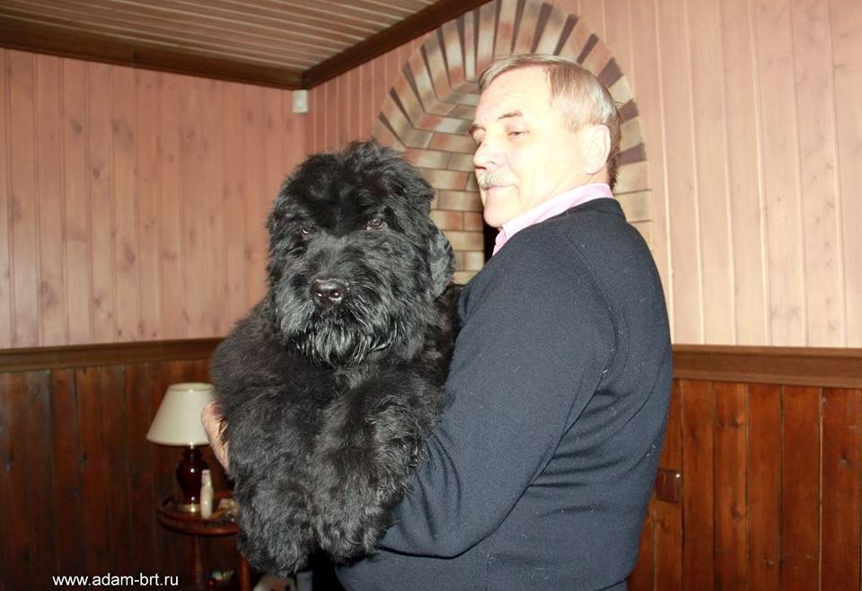 Adam Racy Style ZEVS