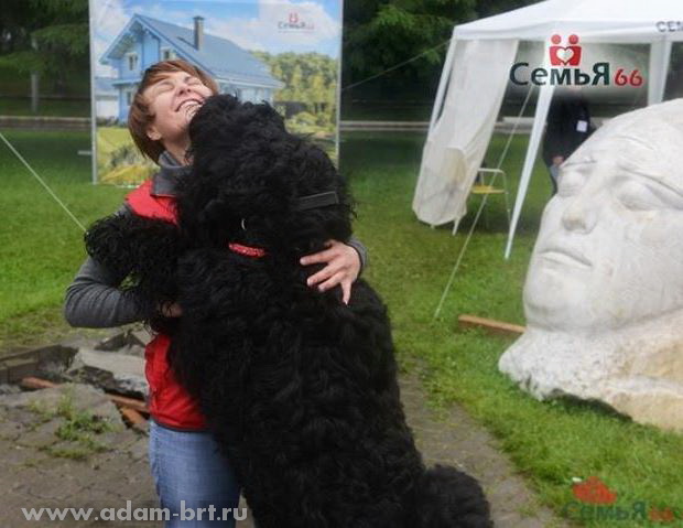 Kennel Adam Racy Style and Family Portal Semya66