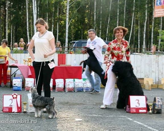 Adam Racy Style DAVID