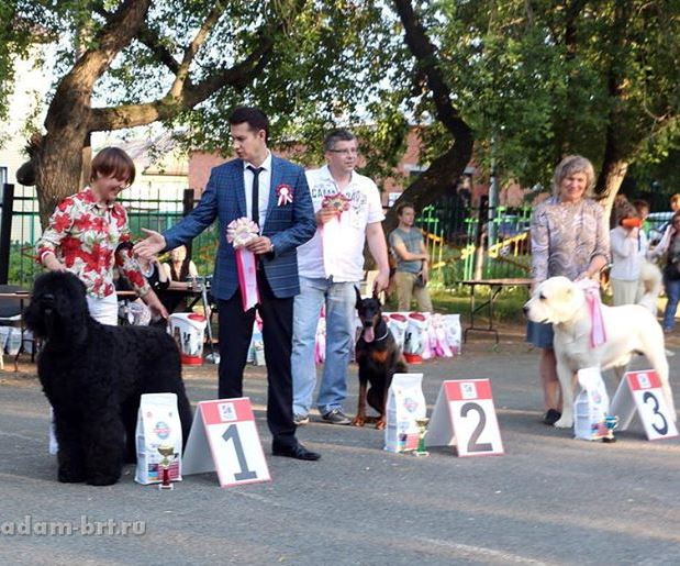 Adam Racy Style DAVID