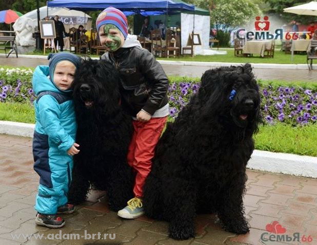 Kennel Adam Racy Style and Family Portal Semya66