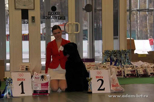 Адам Рэйси Стайл ЭДМОН