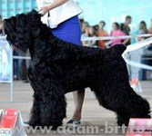 Otvazhny Voin ALTAIR