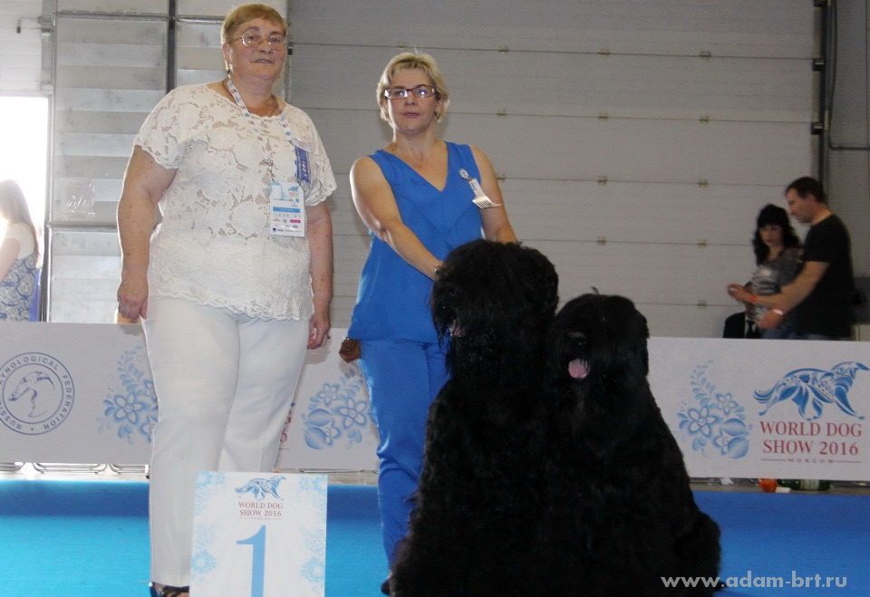 ADAM RACY STYLE APOLLON & ALEKSANDRA