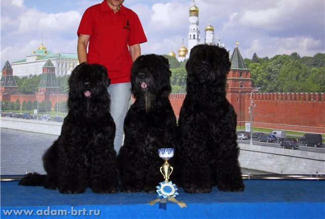 ADAM RACY STYLE APOLLON & ALEKSANDRA