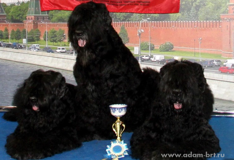 ADAM RACY STYLE APOLLON & ALEKSANDRA