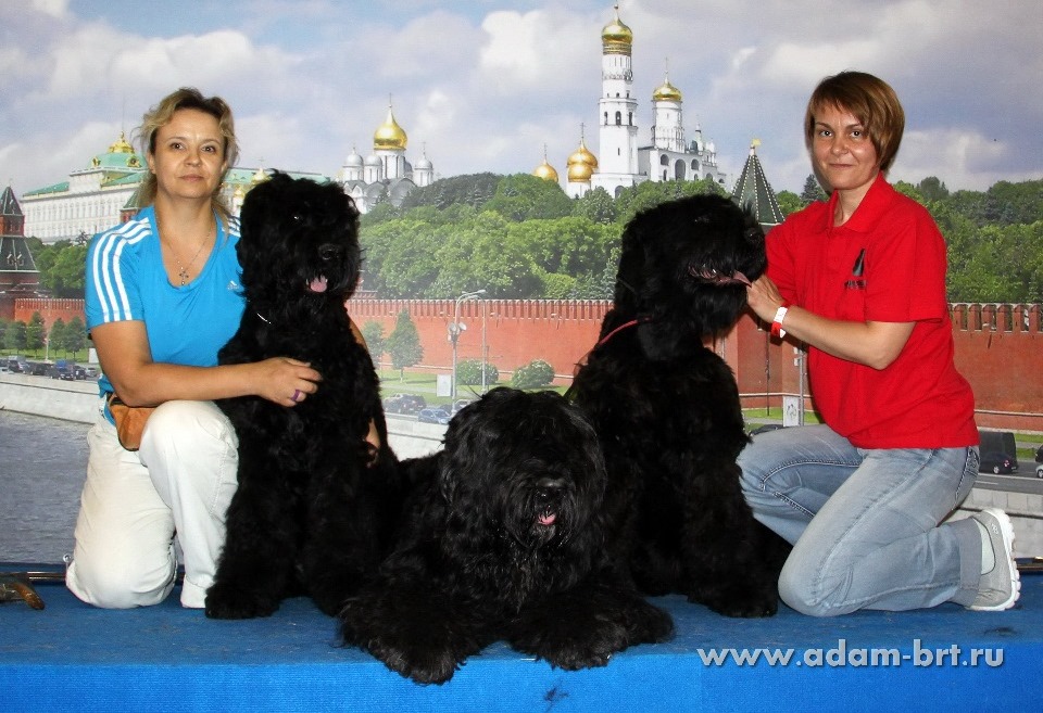 ADAM RACY STYLE RICHARD, RYTSAR SVETA & ALEKSANDRA