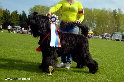 Adam Racy Style ALEKSANDRA