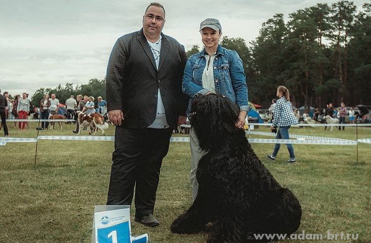 Adam Racy Style APOLLON