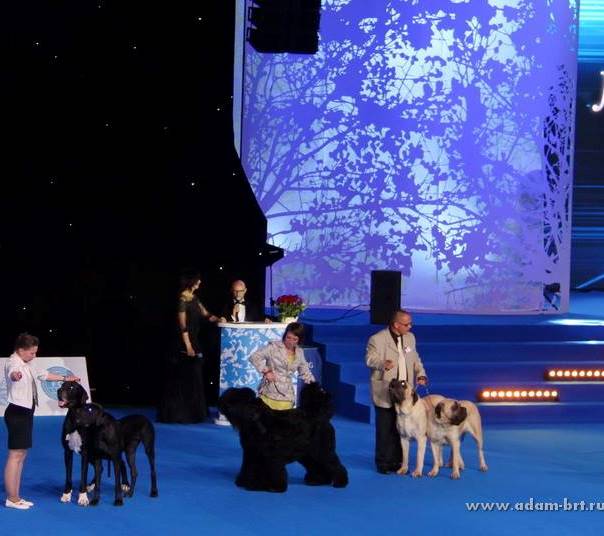 ADAM RACY STYLE APOLLON AND ALEKSANDRA IS THE WORLD CHAMPIONSHIP BEST COUPLE OF BREED!!!