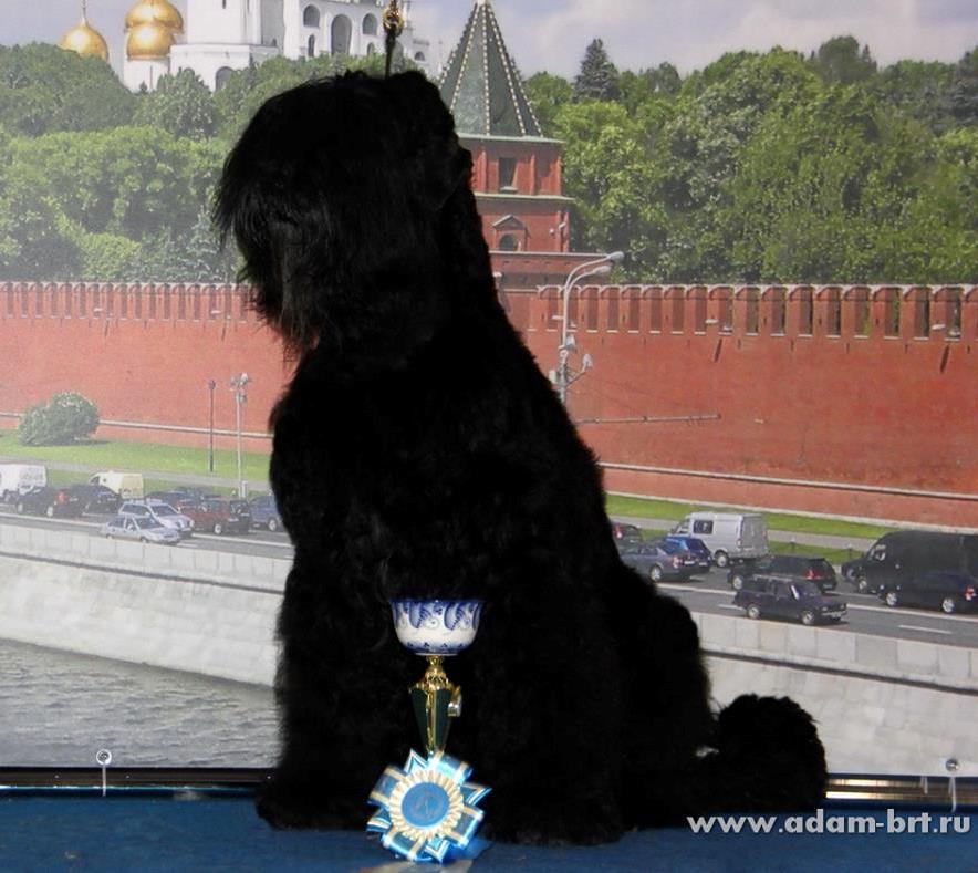 BORESLAVA LUBOV ADAMA IS VETERAN WORLD WINNER!!!