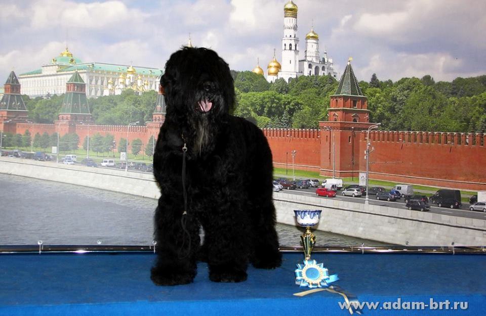 BORESLAVA LUBOV ADAMA IS VETERAN WORLD WINNER!!!