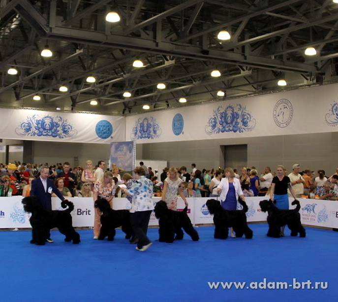 BORESLAVA LUBOV ADAMA IS VETERAN WORLD WINNER!!!