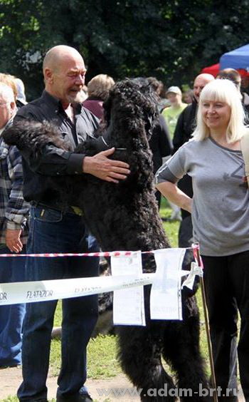 Adam Racy Style EUCLID