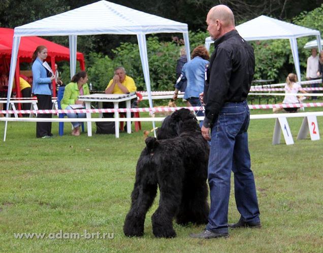 Adam Racy Style EUCLID