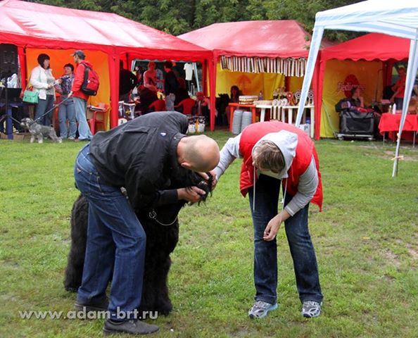 Adam Racy Style EUCLID