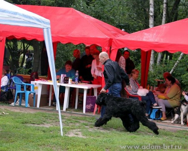 Adam Racy Style EUCLID