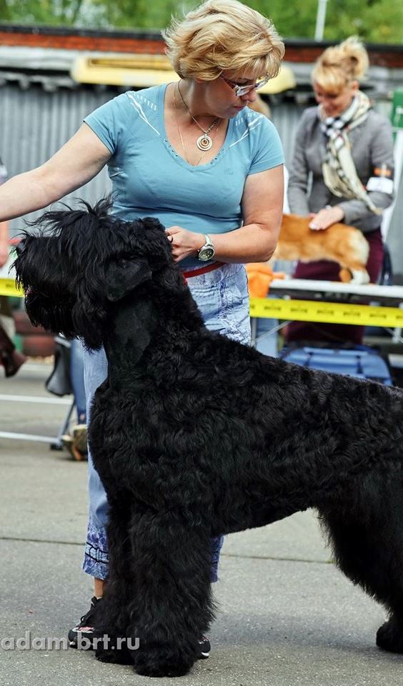 Adam Racy Style EUCLID