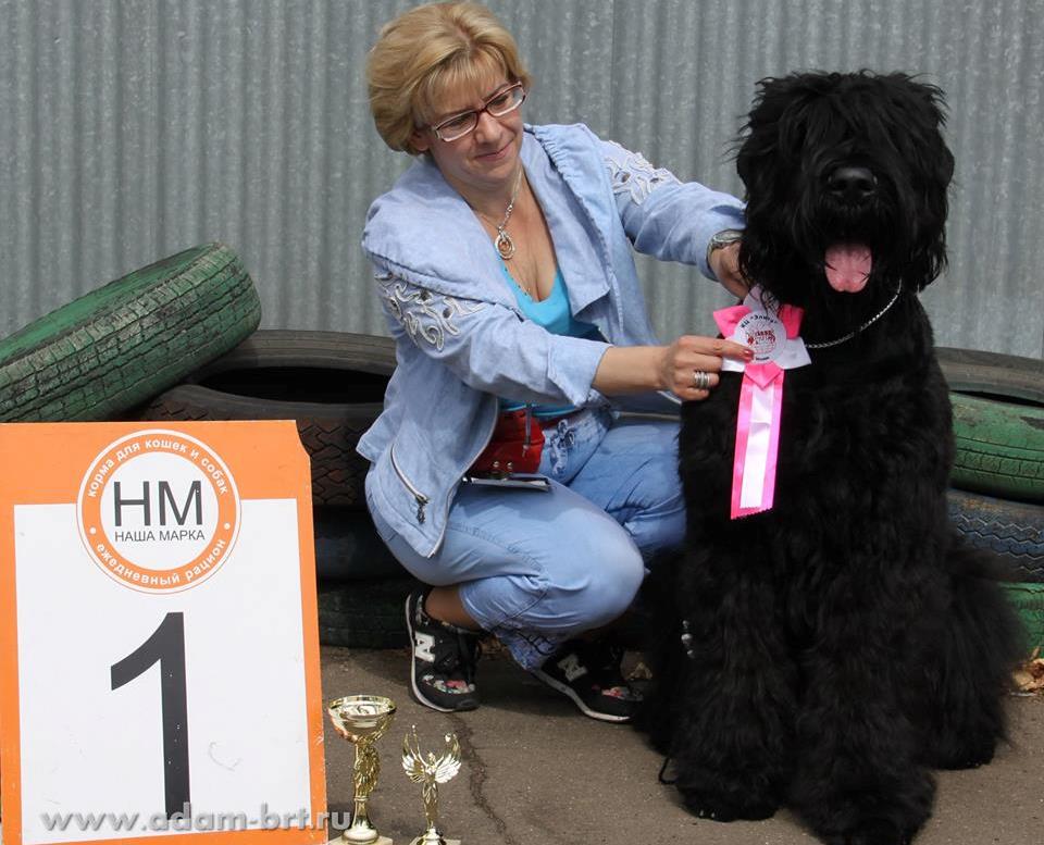 Adam Racy Style EUCLID