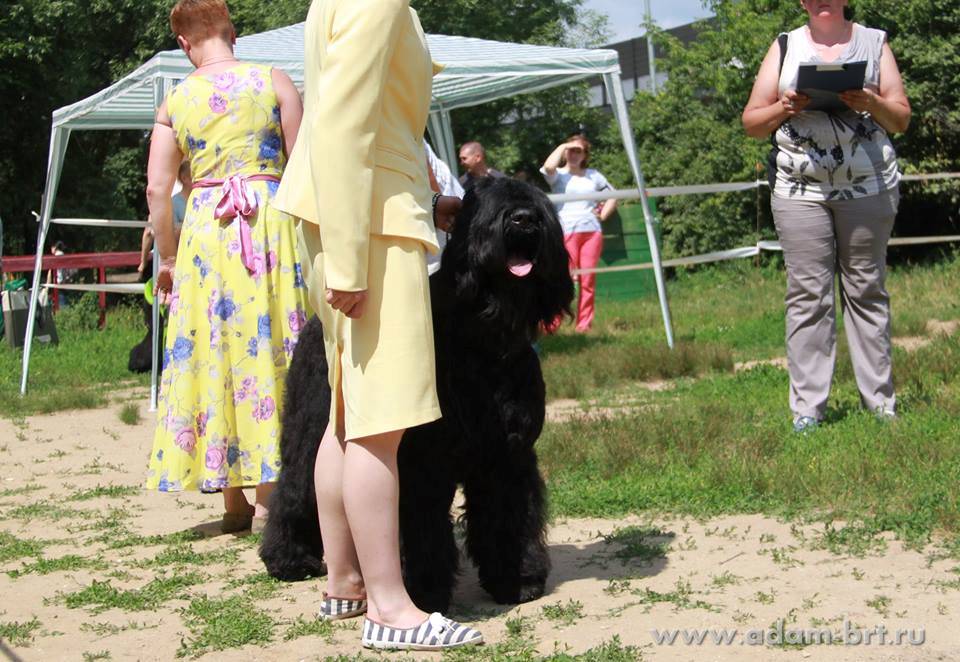 Adam Racy Style EDMON