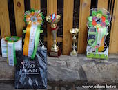 Adam Racy Style FERZ 