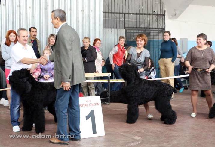 Adam Racy Style IDALGO and D-s