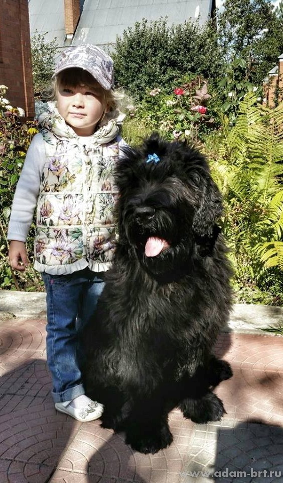 Adam Racy Style ILARIA