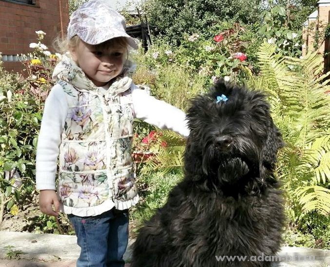 Adam Racy Style ILARIA