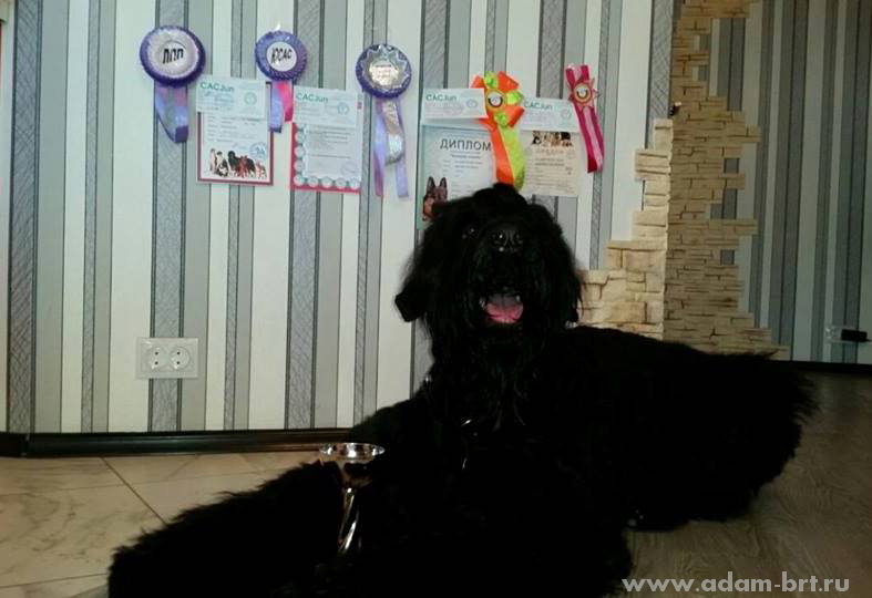 Adam Racy Style INFINITY