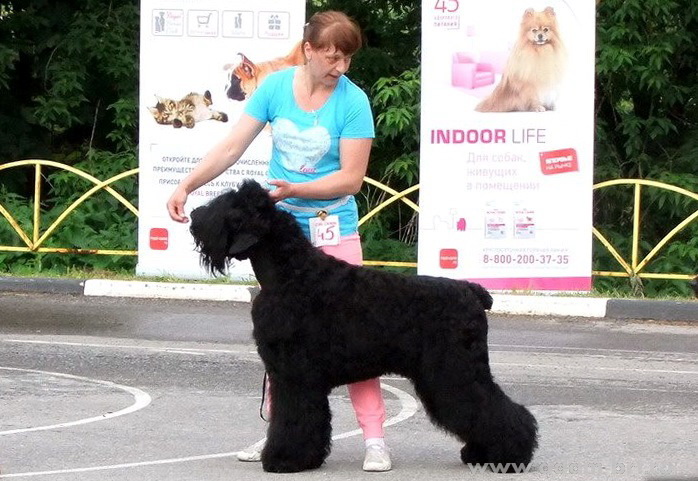 Adam Racy Style INFINITY