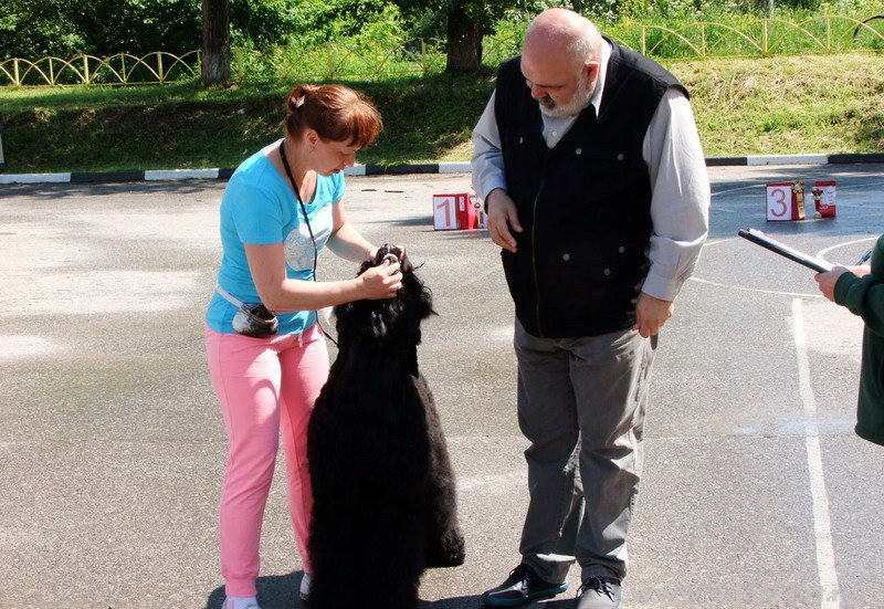 Adam Racy Style INFINITY