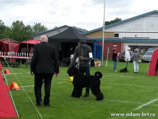 Adam Racy Style IOLANATA