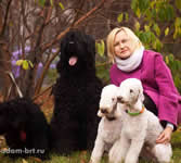 Adam Racy Style KODEKS CHESTI and his team