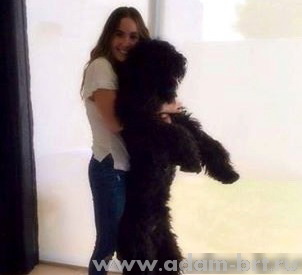 Adam Racy Style KOSMOS