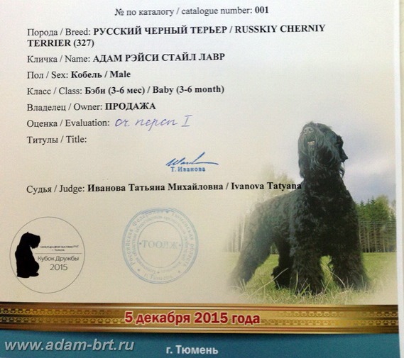 Adam Racy Style LAVR