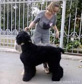 Adam Racy Style LIBERA 