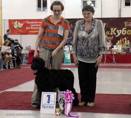 Adam Racy Style LIBERA