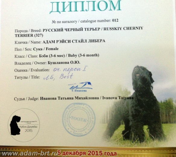 Adam Racy Style LIBERA