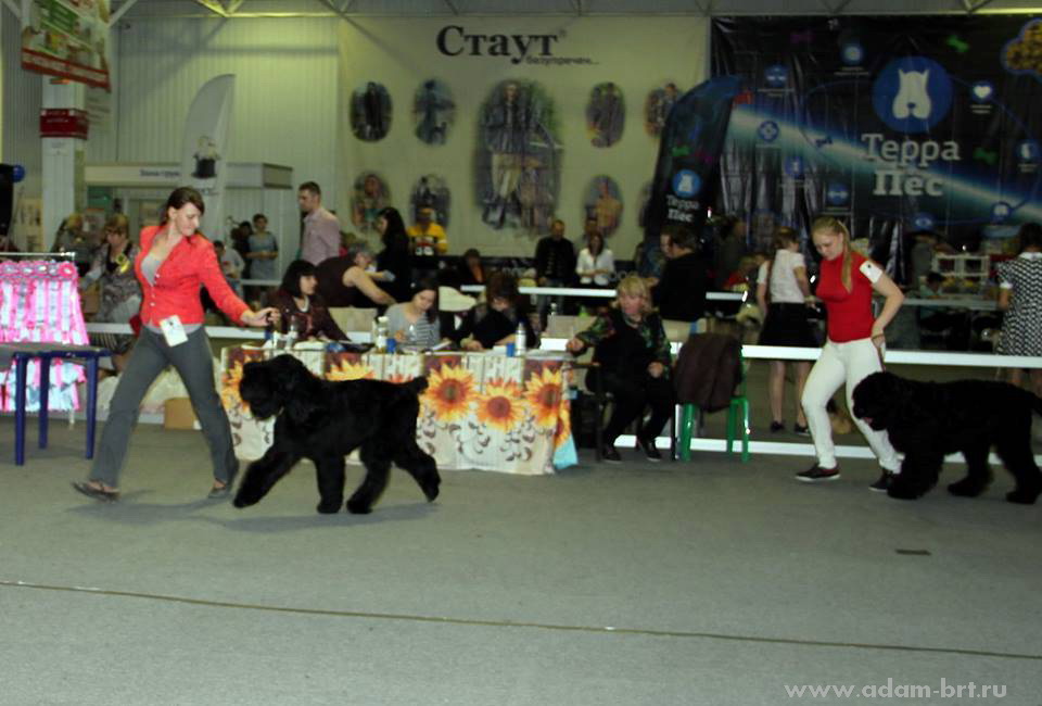 Adam Racy Style MAKAR