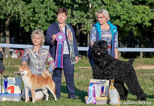 Adam Racy Style MATVEY