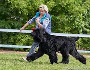 Adam Racy Style MATVEY