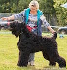 Adam Racy Style MATVEY